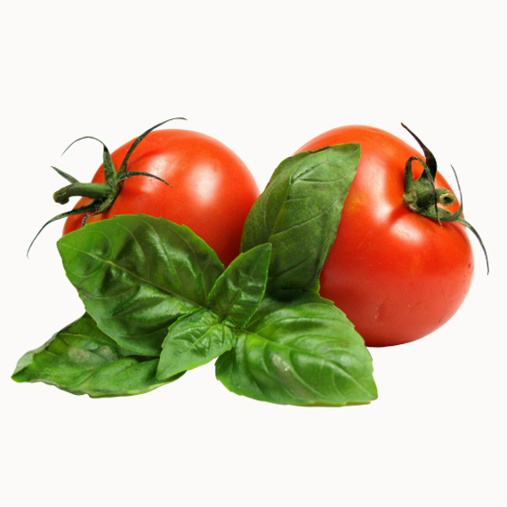 Tomato