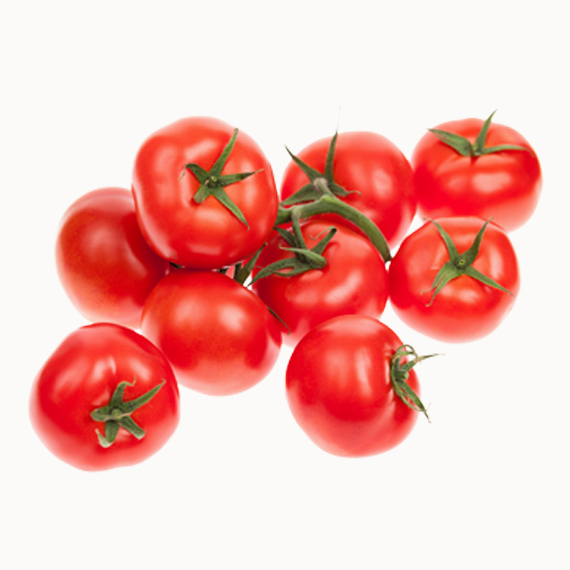 Tomato - Image 2