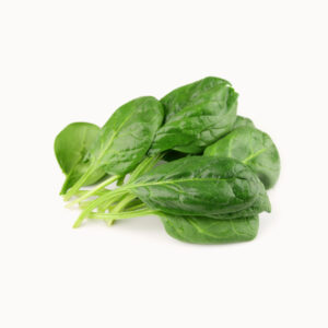 Chinese Cabbage